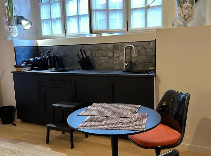 Lucas Ii 35 M2 Particulier Xvii Ieme Siecle Centre Historique Cathedrale Appartement *